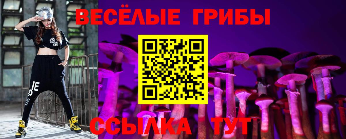 Богородицк  Псилоцибиновые грибы мухоморы  Псилоцибиновые грибы Psilocybine cubensis  Вход с VPN 