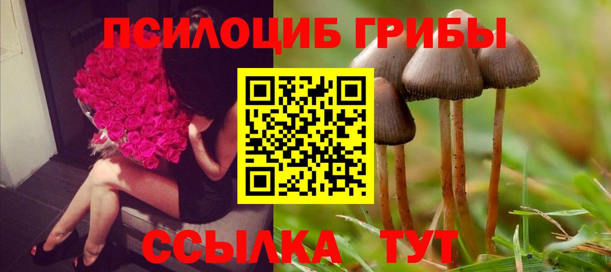 Галлюциногенные грибы прущие грибы Богородицк